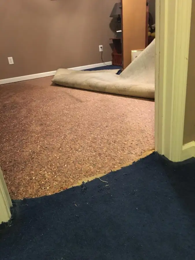 Carpet pad removal revealing water damage during Drying & Dehumidification in Bloomer