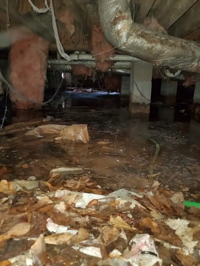 Crawl space flood assessment for Commercial Water Damage Restoration in Bloomer
